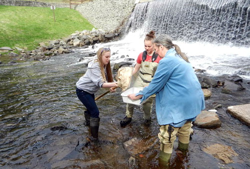 Students collect macroinvertebrates from a stream at Promised Land State Park during a Watershed Education program, Pennsylvania State Parks.