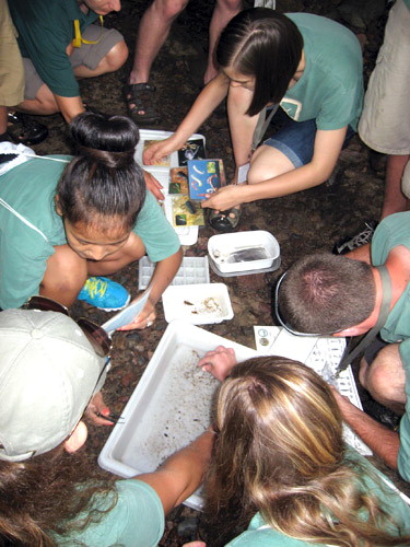 Students sort macroinvertebrates into containers during a Watershed Education program at Nescopeck State Park, Pennsylvania State Parks.