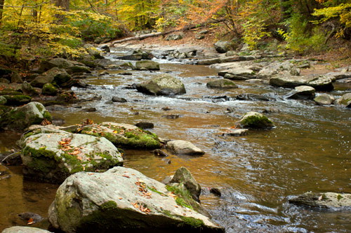 Ridley Creek dashes between rocks in the autumn at Ridley Creek State Park, Pennsylvania State Parks.