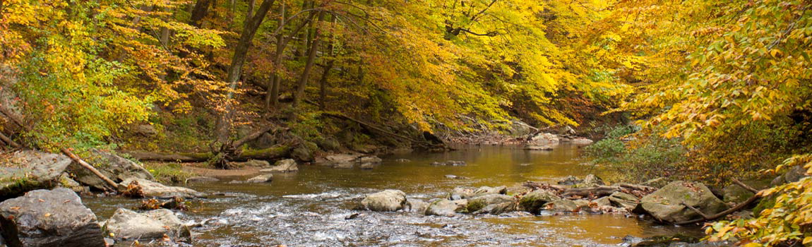 Ridley Creek is bracketed by autumn colored leaves at Ridley Creek State Park, Pennsylvania.