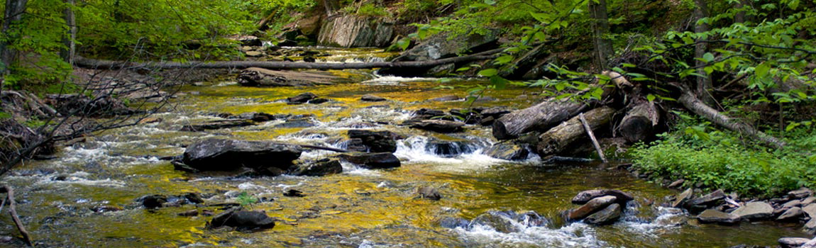 Water tumbles over rocks at Ricketts Glen State Park, Pennsylvania.