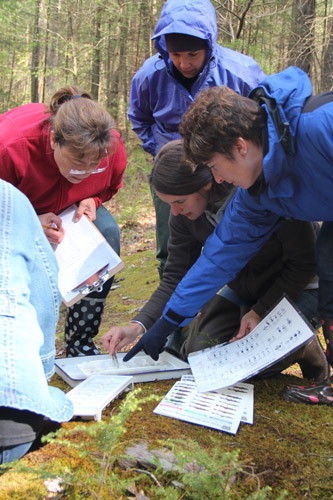 A Watershed Education investigation is taking place by a stream, Pennsylvania State Parks.